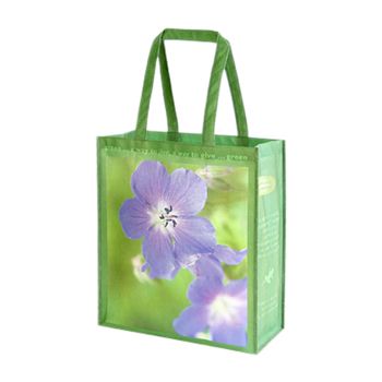 NON-LAMINATED TINTED KRAFT SHOPPING BAGS