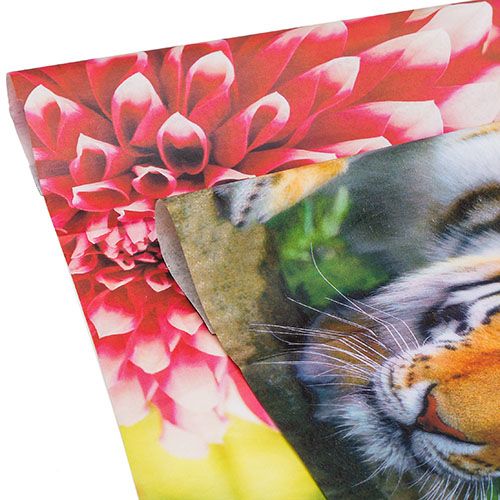 Colored Digital Tissue Paper - 10 x 15