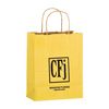 Imprinted Matte Paper Shopping Bags - 8 X 4.75 X 10.5