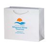 Imprinted Gloss Laminated Eurotote - 8 X 4 X 10