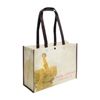 Custom Laminated PET Shopping Bags - 16 x 6 x 12