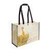 Custom Laminated PET Shopping Bags - 15 x 5 x 16