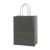Solid Tinted Kraft Shopping Bags - icon view 1