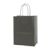 Solid Tinted Kraft Shopping Bags - 5.3 X 3.5 X 8.5