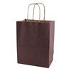 Solid Tinted Kraft Shopping Bags - icon view 5