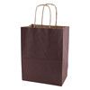 Solid Tinted Kraft Shopping Bags - 5.3 X 3.5 X 8.5