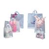 Imprinted Frosted Soft Loops Bags - 14 X 10 X 15