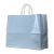 High Gloss Shopping Bags - icon view 8